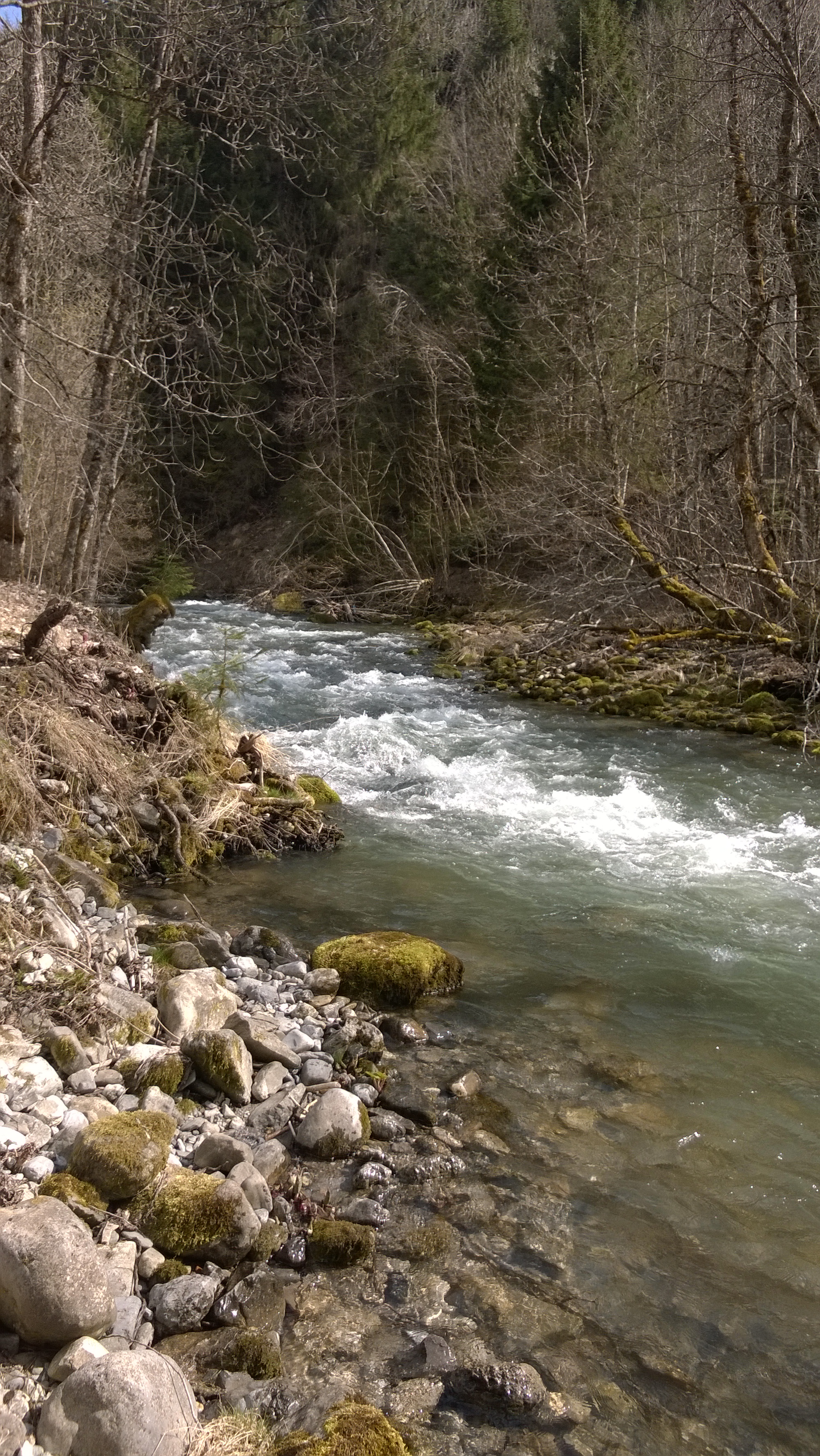 Atteidre la liberté spirituelle