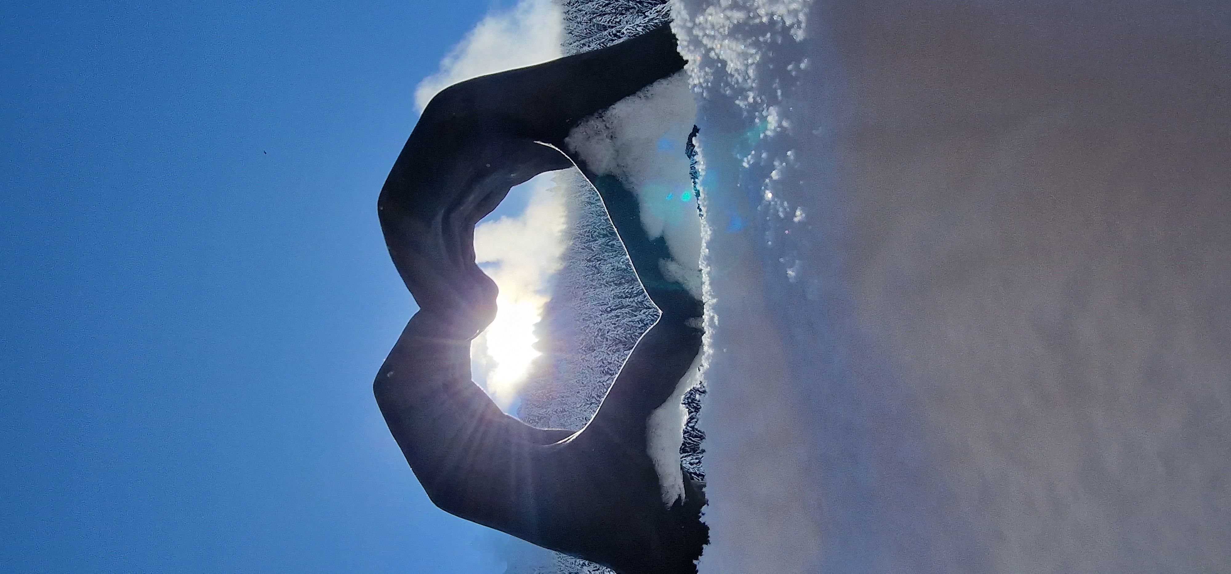 Une illustration symbolique montrant deux mains formant un cœur autour d'un cœur anatomique vivant, avec en arrière-plan des montagnes enneigées et un soleil rayonnant à travers les nuages.