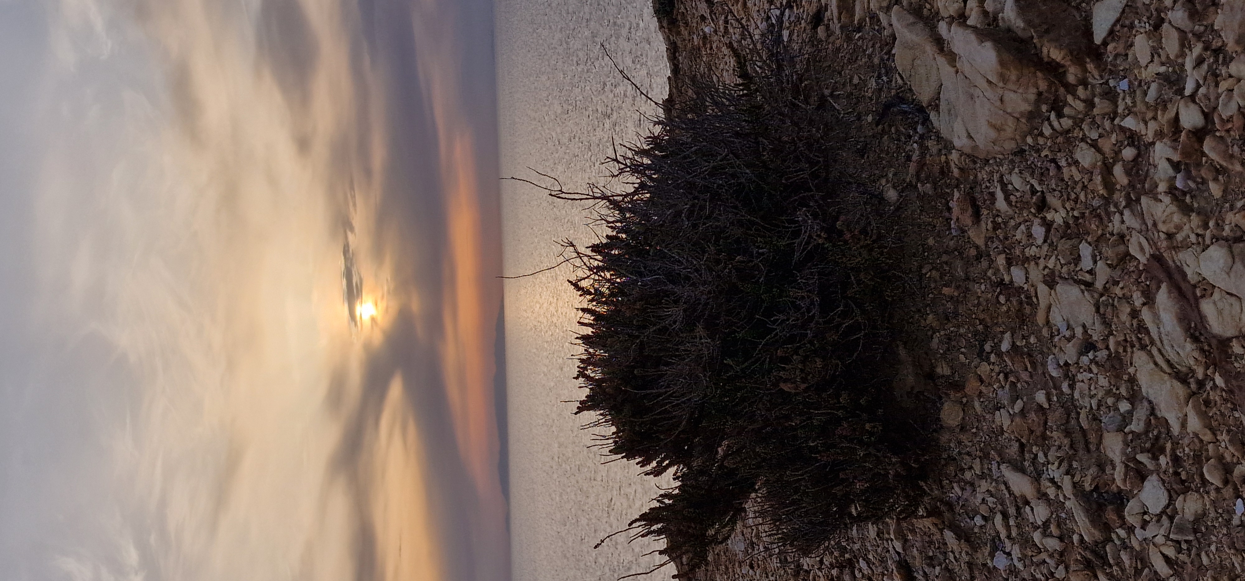 Silhouette d'un paysage au coucher du soleil évoquant la paix et la présence de Dieu.